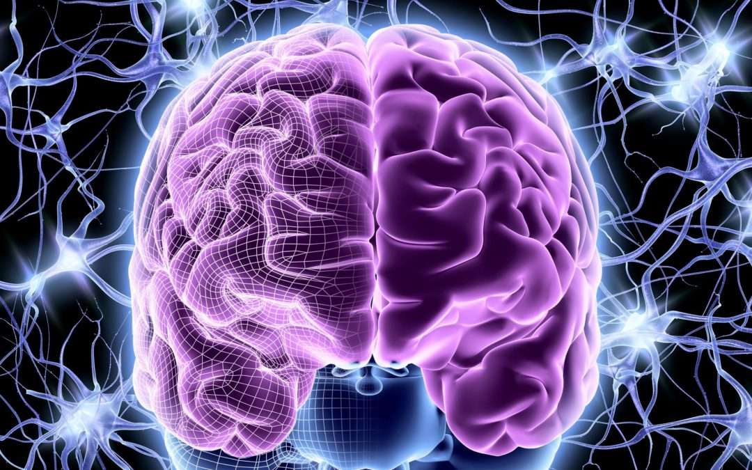 The Psychology of Emotionally Intelligent Negotiation: What’s Happening in the Brain