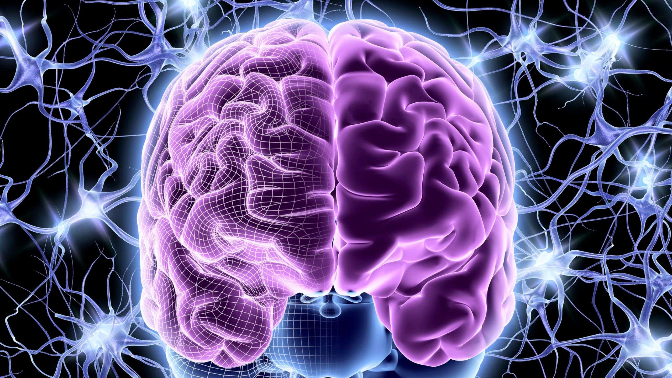 Emotionally Intelligent Negotiation